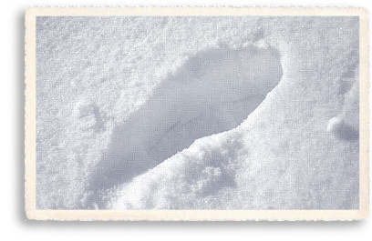A deep footprint in the pristine white snow during a hard winter in Taos, New Mexico.